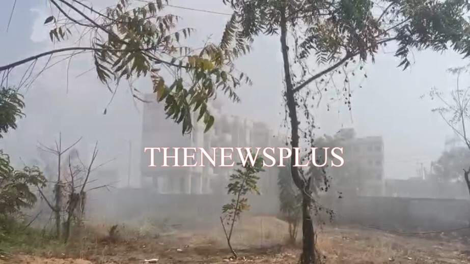 સાવલીની કોર્ટ પરિસરના મેદાનમાં લાગી આગ