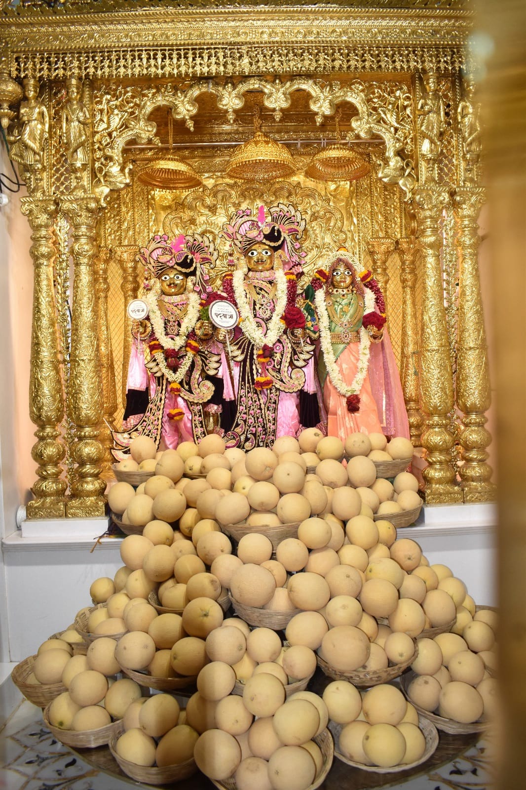વડતાલ ધામમાં દેવોને ૧ હજાર કિલો સક્કરટેટીનો અન્નકુટ ધરાવાયો 