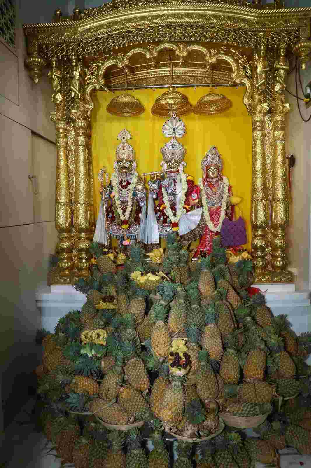 પાપમોચની એકાદશીએ વડતાલધામમાં ૧ હજાર કીલો પાઈનેપલનો ઉત્સવ ઉજવાયો. 