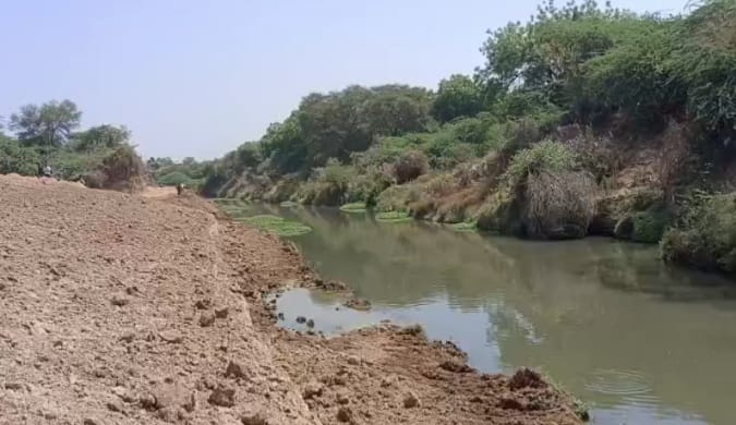 વિશ્વામિત્રી નદીમાં અગાઉના જેવું પૂર આવે નહીં તે પહેલા ધોવાણ થતું અટકાવવા વૃક્ષો કે ઘાસ ઉગાડાશે 
