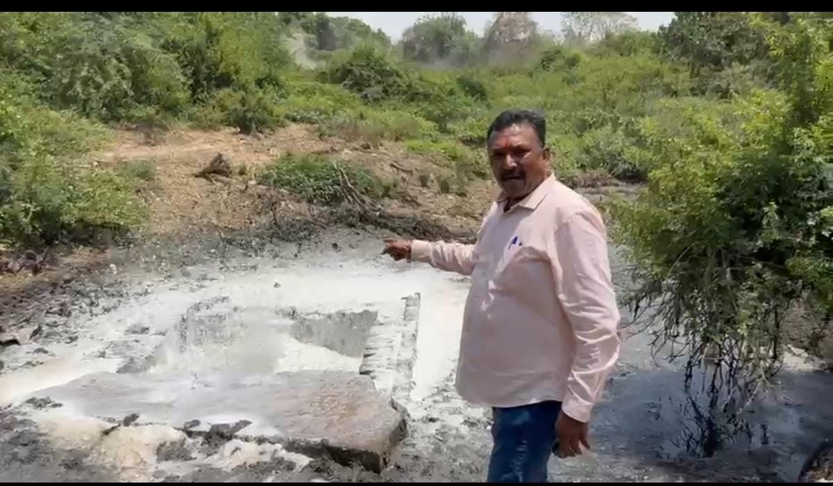 નદીના પાણીના સેમ્પલોનો ટેસ્ટ કરાવવામાં આવતા પાણી દૂષિત ન હોવાનો પ્રાથમિક રિપોર્ટ આવ્યો