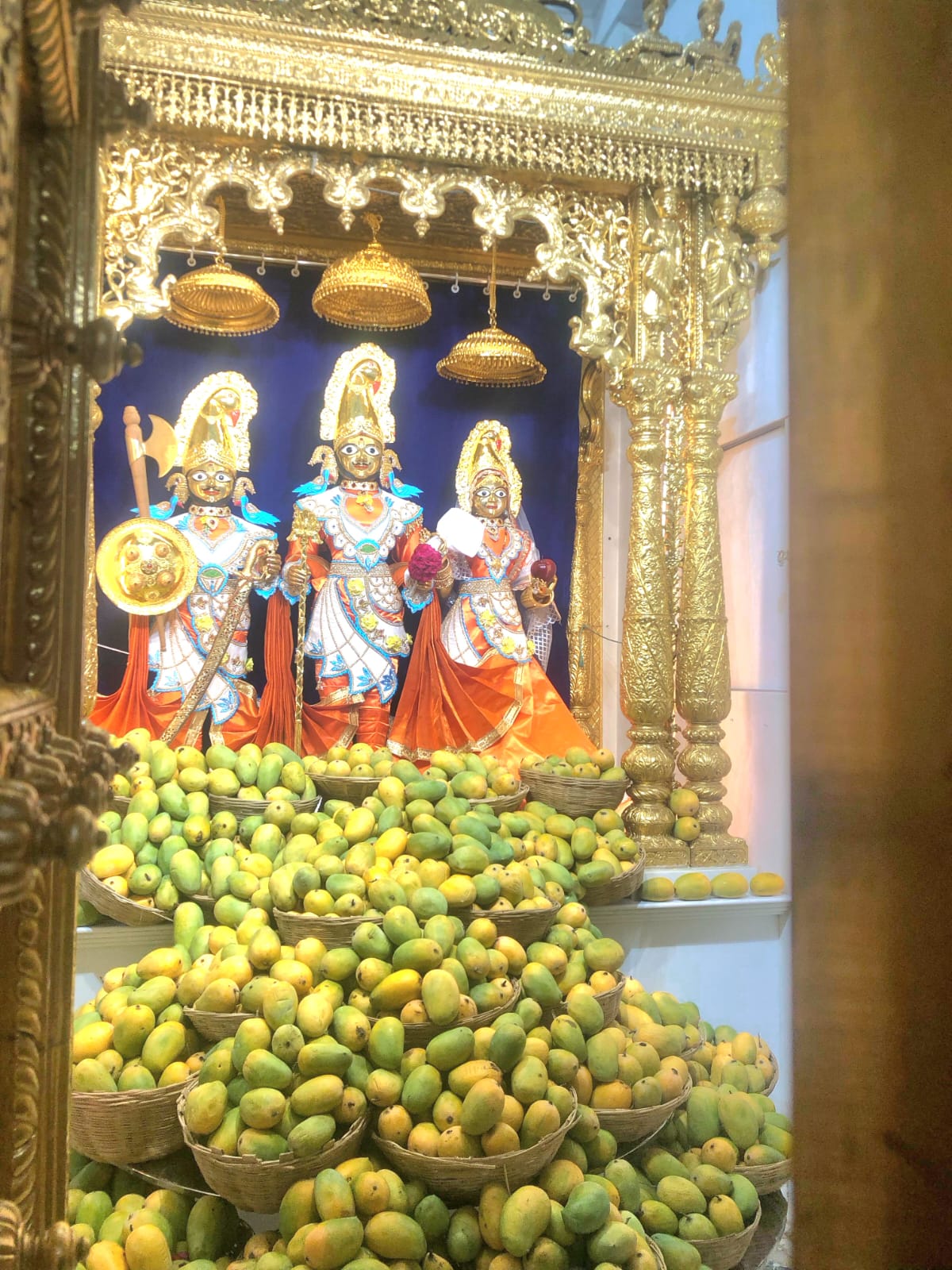 વડતાલ ધામમાં સ્વામિનારાયણ મંદિરમાં દેવો સમક્ષ 1000 કિલો કેસર કેરીનો ઉત્સવ ઉજવાયો