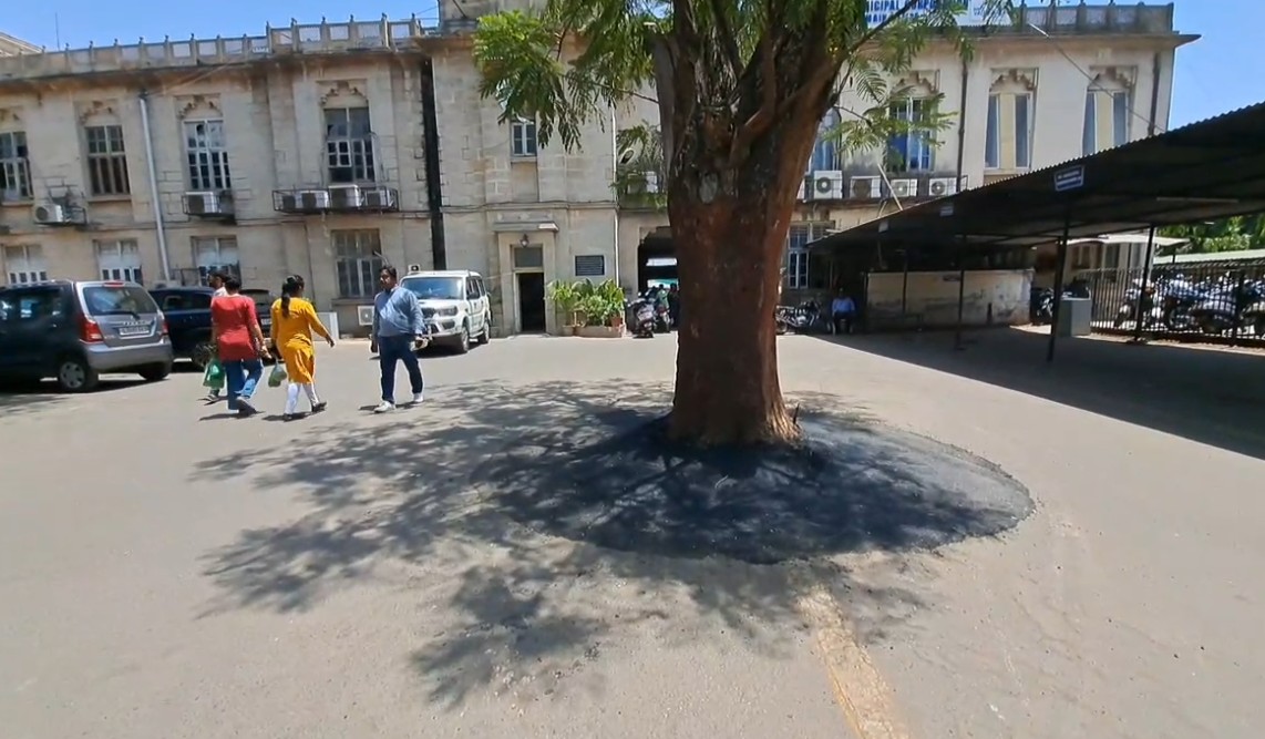 Blog Image