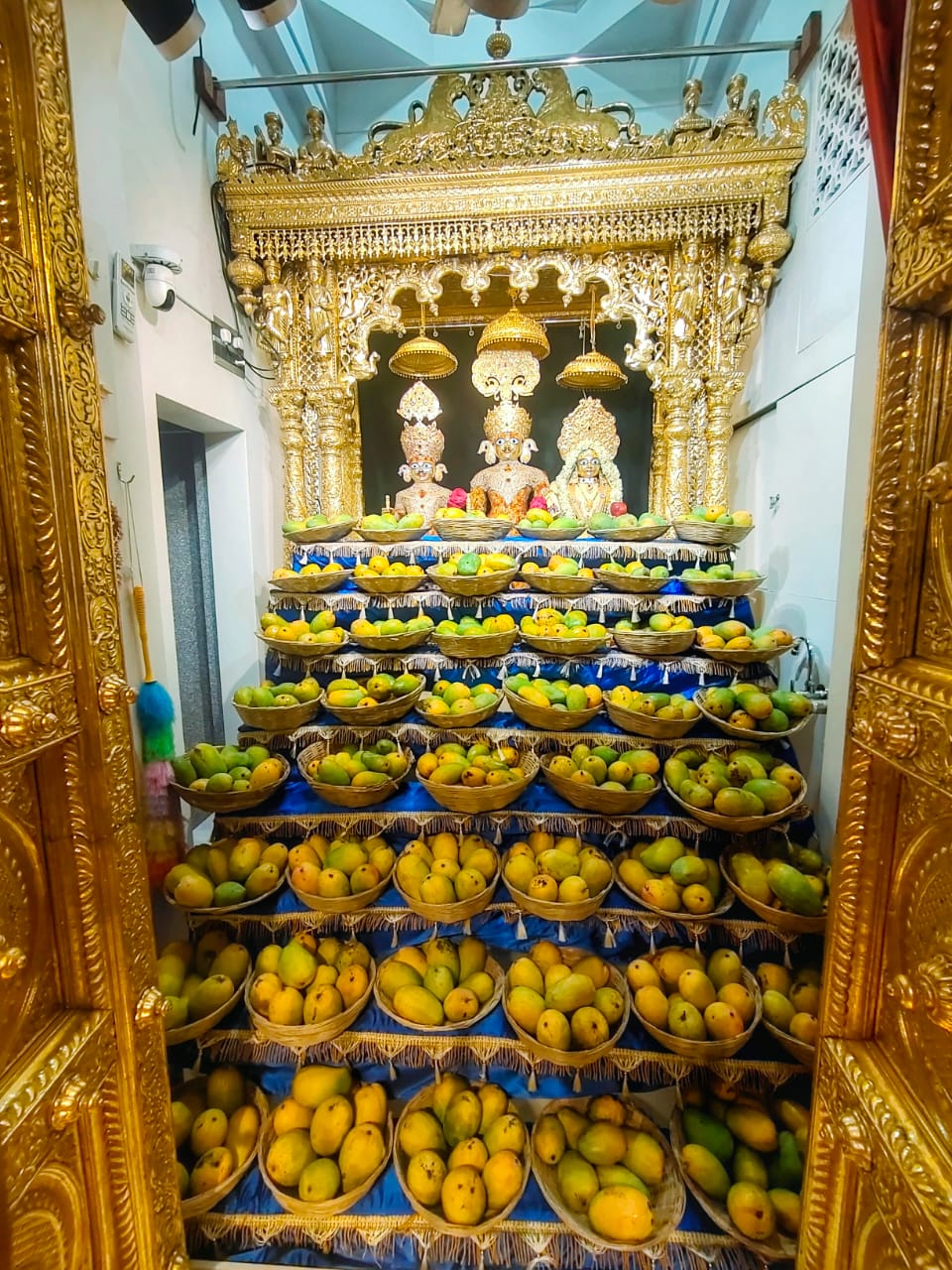 વડતાલધામ સ્વામિનારાયણ મંદિરમાં ૫૦૦ કિલો કેસર કેરીનો આમ્રઉત્સવ ઉજવાયો
