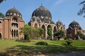 MSU માં એક્ઝિક્યુટિવ કાઉન્સિલમાં  પૂર્વ વીસીના કાર્યકાળમાં થયેલી વિવાદિત નિમણૂકો હજી પણ યથાવત