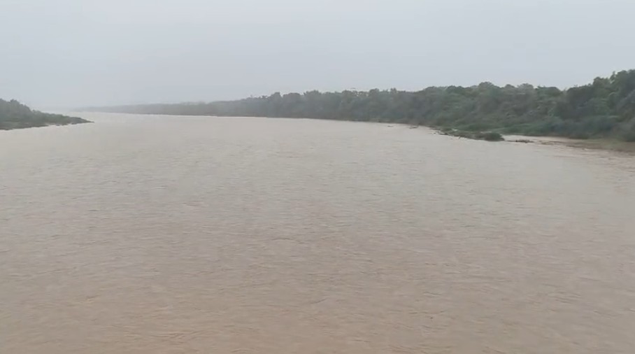 ડભોઇ ઓરસંગ નદી સીઝનમાં બીજીવાર બંને કાઠે વહેતી થઈ 