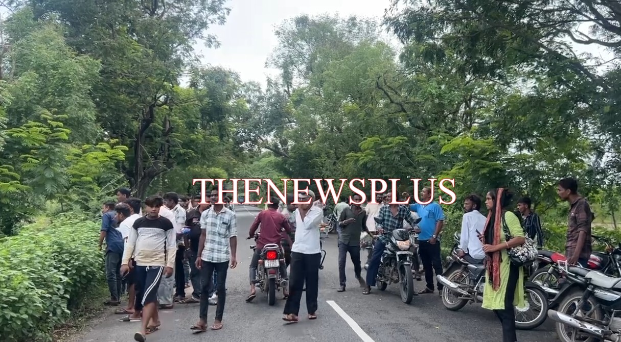 સાવલી વસંતપુરા રોડ પર અવાવરી જગ્યામાં ઝાડ ઉપરથી લટકતી હાલતમાં મૃતદેહ મળી આવ્યો