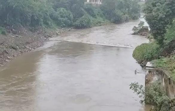 વિશ્વામિત્રી નદી પહોળી અને ઊંડી કરવાથી12 ફૂટ સુધી લેવલ જાળવાયું