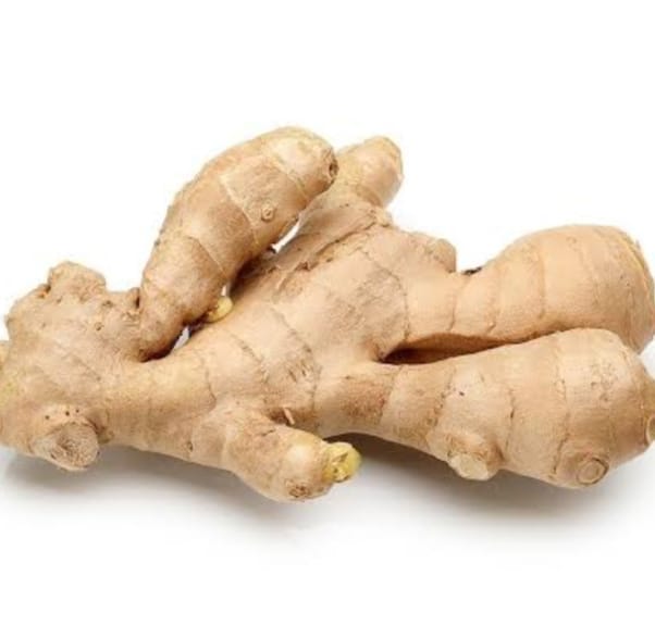 આયુર્વેદિક ઉપચાર : આદુ ખાવાથી થતા ફાયદા