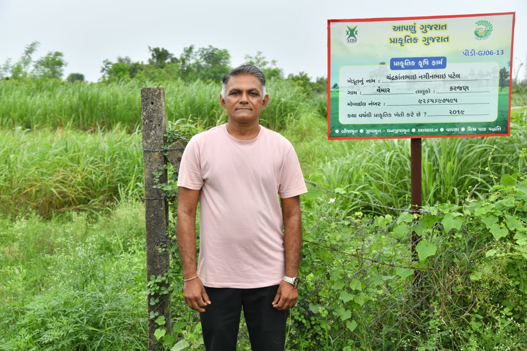 વડોદરાના કરજણ તાલુકાના વેમાર ગામે ચંદ્રકાંતભાઈ પટેલે ઊભું કર્યું પ્રાકૃતિક કૃષિનું મિક્ષ મોડલ ફાર્મ