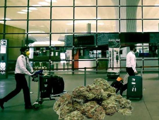 ગુજરાતી સહિત બેની ધરપકડ કરી અંદાજે 12 કરોડ રૂપિયાનો ગાંજો જપ્ત