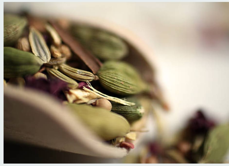 આયુર્વેદિક ઉપચાર : સ્ત્રીના રોગ અને ઉપચાર