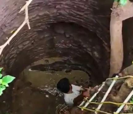 વડધા ગામના અંદાજે ૨૦ ફૂટ જેટલા ઊંડા કુવામાંથી મગરનું રેસ્ક્યુ