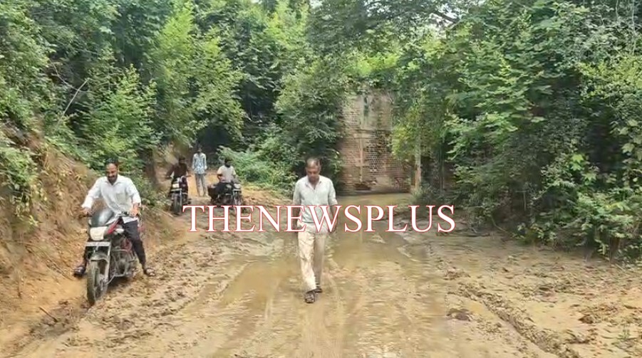 સાવલી તાલુકામાં ગંભીરા બ્રિજ દુર્ઘટના બાદ સાવલી તાલુકાના વિવિધ ગામોમાં આવેલા રોડ રસ્તામાં ભ્રષ્ટાચારનો ભરડો જોવા મળી રહ્યો છે