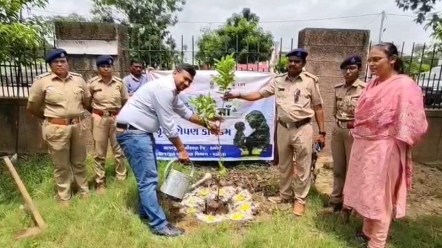 ડભોઇ તાલુકા સેવા સદન ખાતે વૃક્ષારોપણનો કાર્યક્રમ યોજાયો