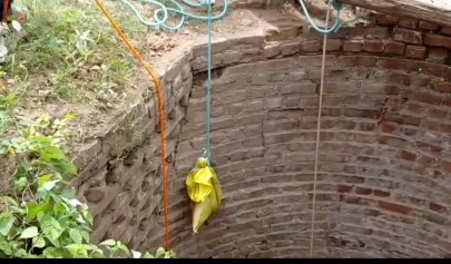 તાજપુરા ગામના કુવામાં વાંદરાનું બચ્ચાનું રેસ્ક્યુ કરાયું