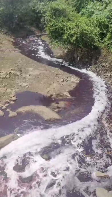 વિશ્વામિત્રીને પ્રદૂષિત કરવાનું પાપ કોનું? વડસર નજીક કોટેશ્વર મહાદેવ મંદિર પાસે નદીના પાણીનો લાલ રંગ