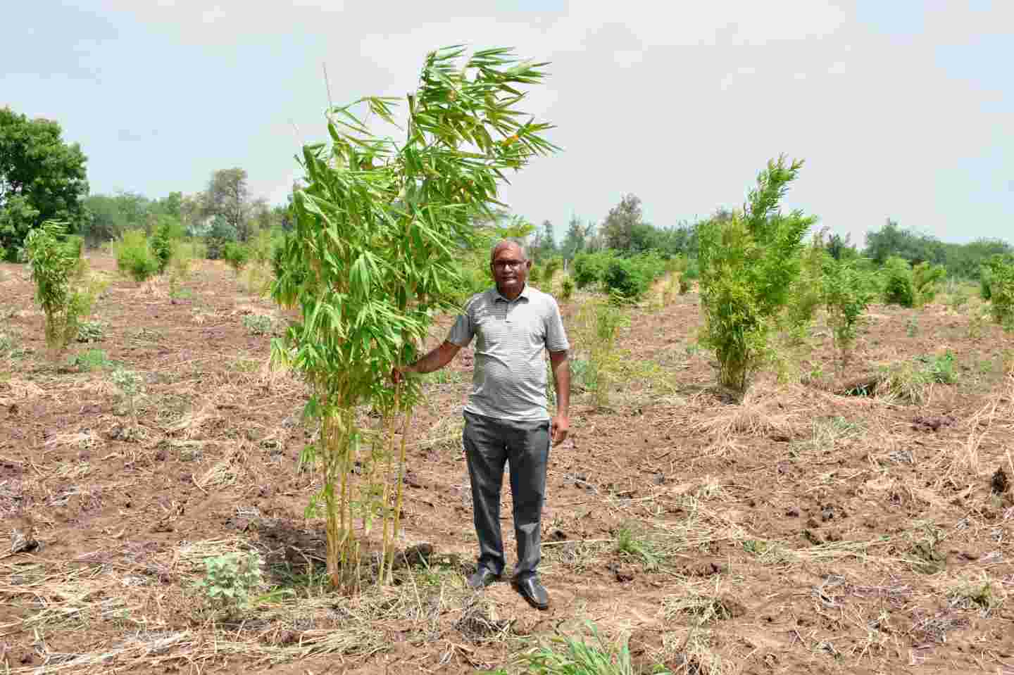 ફક્ત 12 પાસ રોહિતભાઈ હાલ ડિજિટલ માધ્યમ થકી કરી રહ્યા છે વિદેશ વ્યાપાર