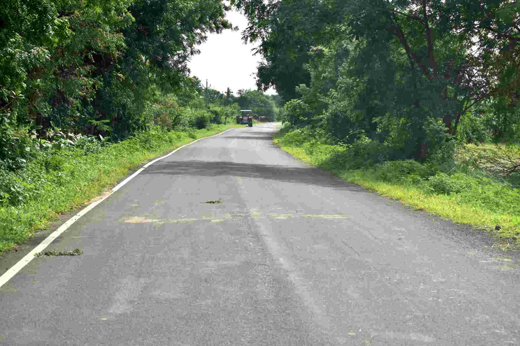 વડોદરા જિલ્લાના ૮૬ ગ્રામ્ય માર્ગોને વરસાદ પછી પણ ના થયું નુકસાન 