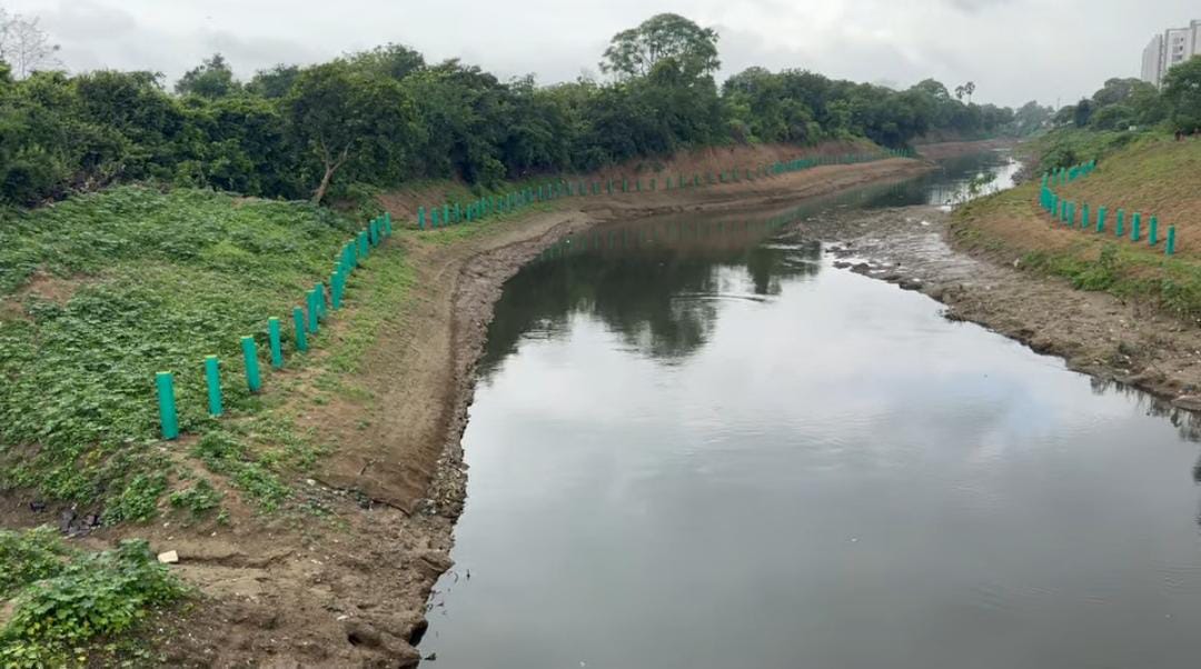 વિશ્વામિત્રીના કિનારે પ્લાન્ટેશન કરીને બુદ્ધિનું પ્રદર્શન કે ઈરાદાપૂર્વકનું કૃત્ય