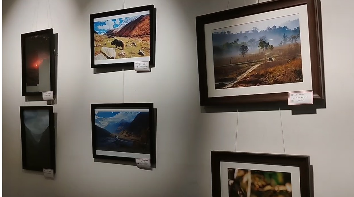 ચિત્પાવન બ્રાહ્મણ મહિલા મંડળ દ્વારા વિશ્વ પ્રકૃતિ સંરક્ષણ દિવસ નિમિતે ત્રી દિવસીય ફોટો એક્ઝિબિશન યોજાયુ