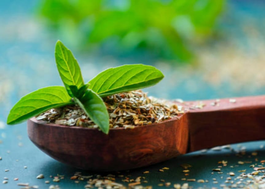 આયુર્વેદિક ઉપચાર : નારિયેળના તેલના ઉપાય