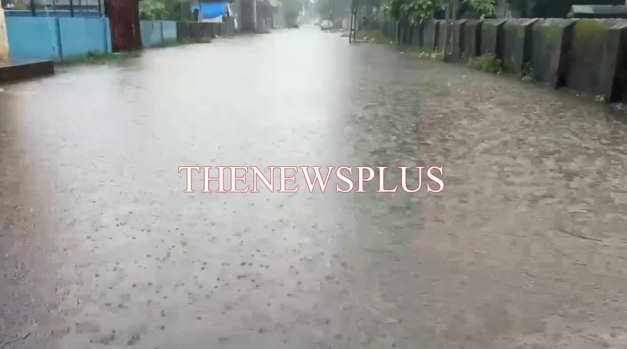 સાવલીના અલગ અલગ વિસ્તારોમાં પાણી ભરાયાં