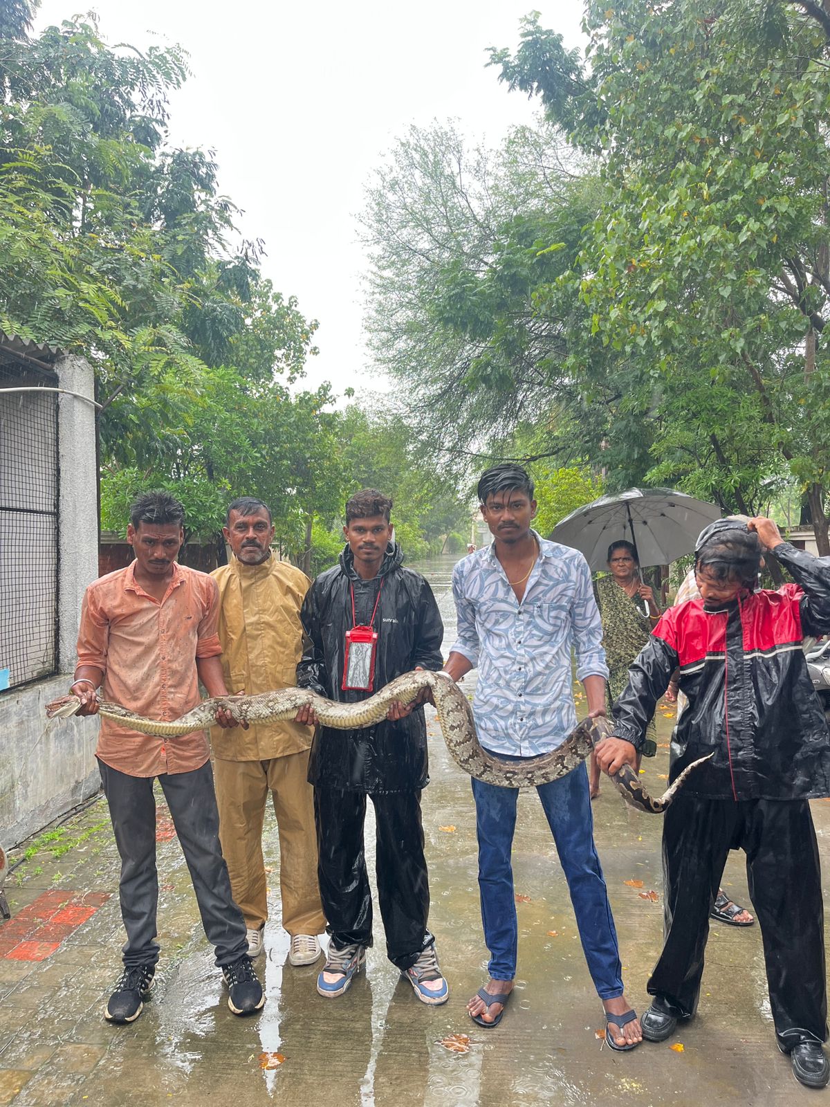 હેતમપુરા ગામ પાસે આંબાવાડીમાં એક અજગર બતકના પિંજરામાં આવી  બતકને ગળી ગયો