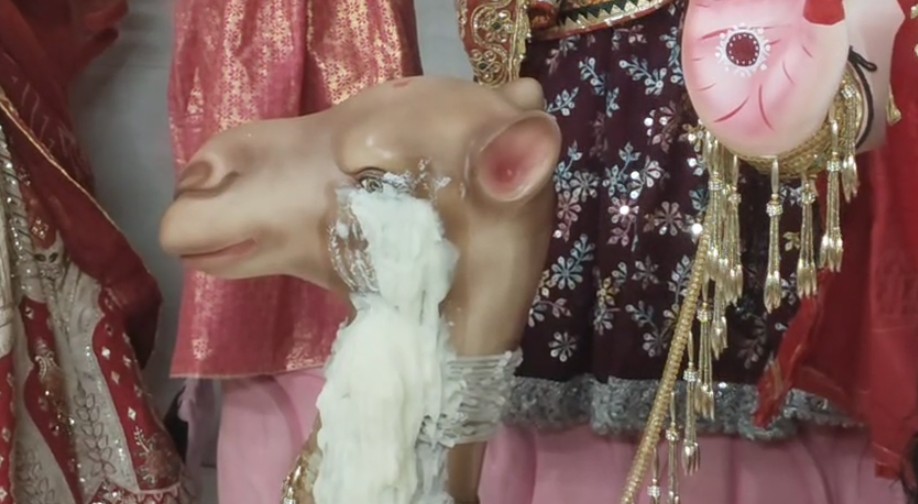 દશામાંનાં મઢ ખાતે દશામાંની સાંઢણીની આંખમાંથી વહેતી ઘીની ધારા 