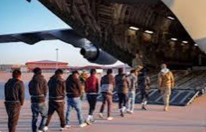 USA માંથી 1703 લોકોમાંથી સૌથી વધુ 620 લોકો પંજાબના, ત્યાર બાદ 604 લોકો હરિયાણાના અને 245 ગુજરાતના લોકો ડિપોર્ટ  થયા 