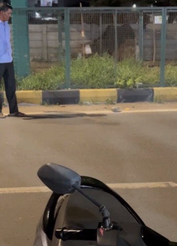 વૈકુંઠ ચાર રસ્તા વાઘોડિયા રોડ  દુકાનદારે સાપને પથ્થરથી મારી નાખ્યો