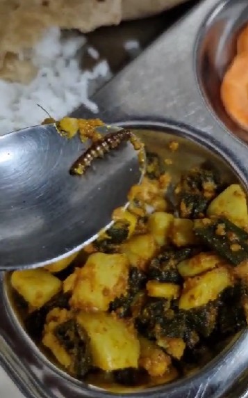 MSU મેસના ભોજનમાંથી ફરી એક વખત જીવાત મળી 