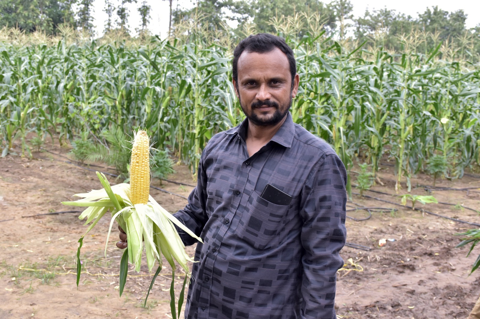 પ્રાકૃતિક ખેતી થકી વાર્ષિક લાખોની કમાણી કરતા સાવલીના દશરથસિંહ ઝાલા..