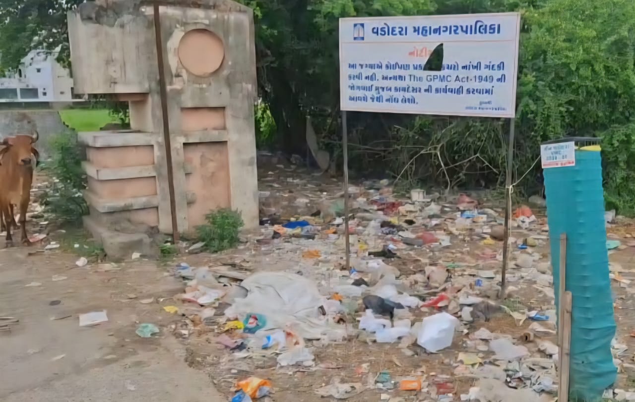 મેયરનાં જ વોર્ડમાં કચરાનો ઢગલો,પાલિકા પર સવાલ