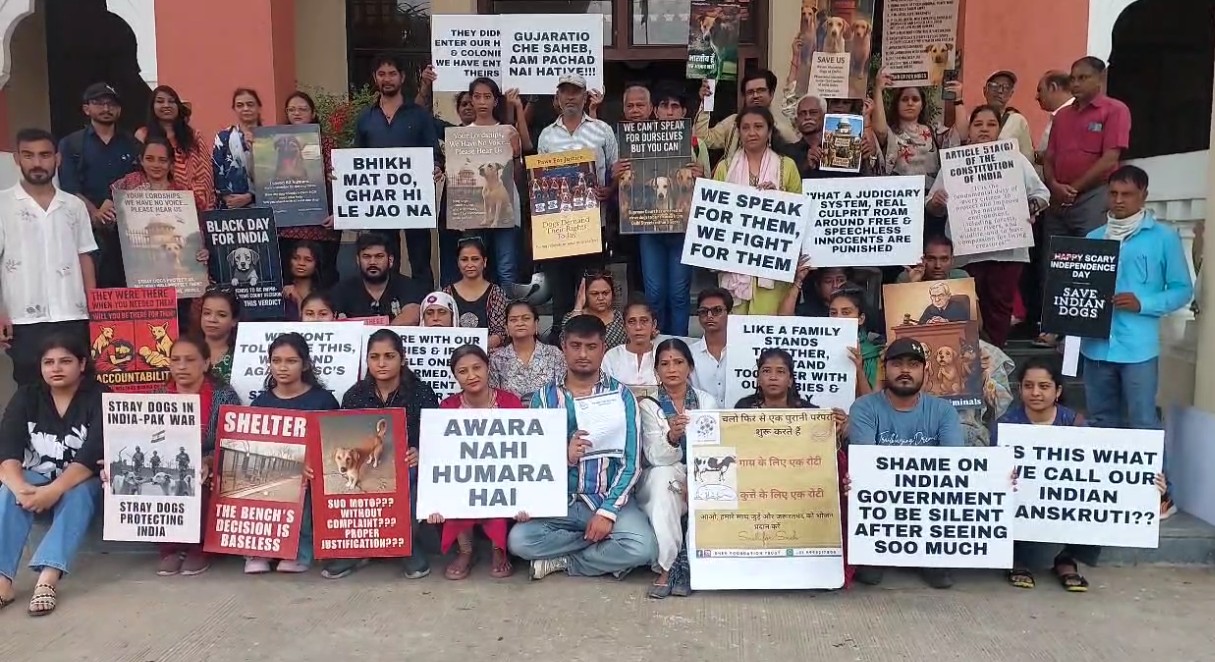 પ્રાણી કલ્યાણના મુદ્દાઓ પર તાત્કાલિક ધ્યાન આપવાની માંગ સાથે વડોદરા સોસાયટી ફોર પ્રિવેન્શન ઓફ ક્રુઅલ્ટી ટુ એનિમલ્સ દ્વારા કલેકટરને રજૂઆત