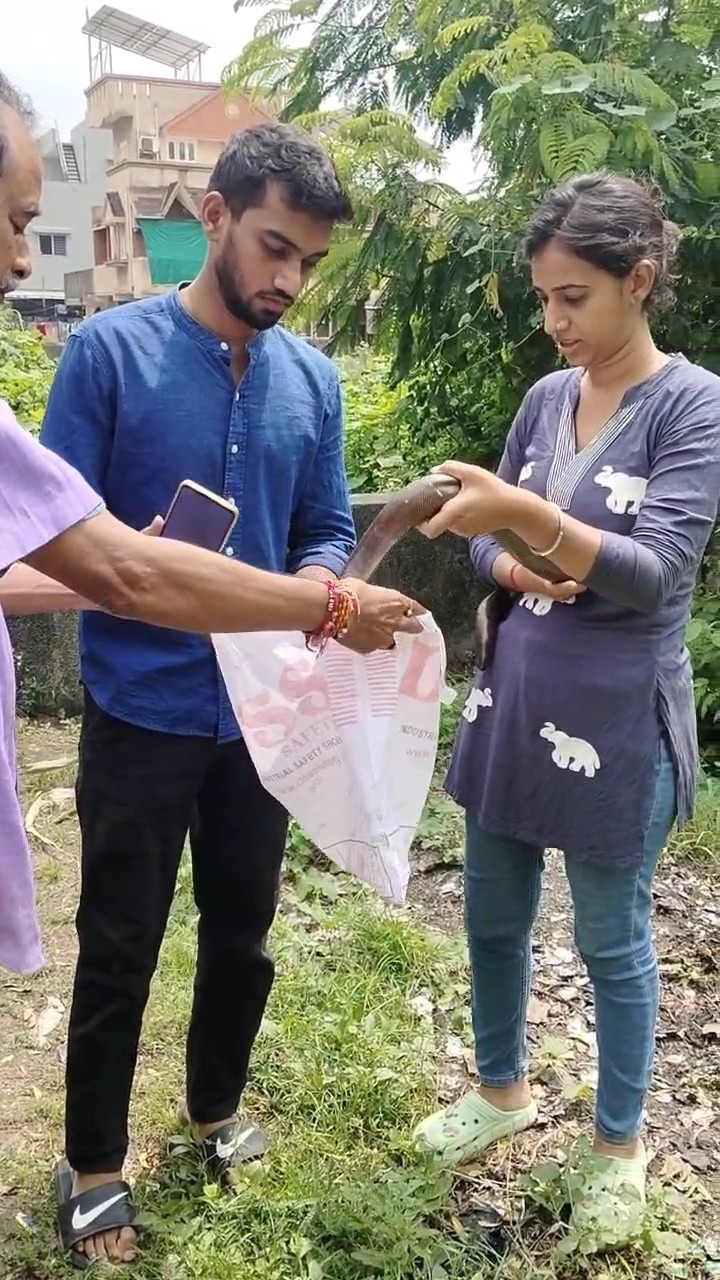 ગોરવા મધુનગર પાસે ખુલ્લા મેદાનમાંથી આંધણી ચાકણનું સફળ રેસ્ક્યૂ