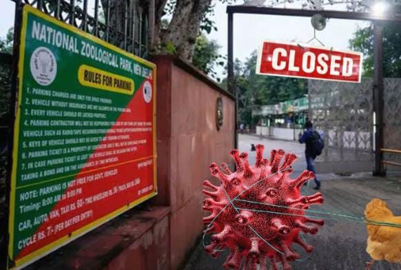 દિલ્હીમાં પશુ પક્ષીઓ માટે જીવલેણ એવા બર્ડ ફ્લૂની એન્ટ્રી