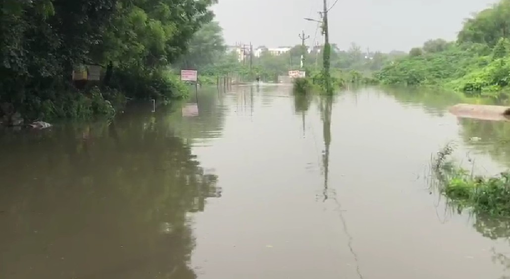 વિશ્વામિત્રી નદીના પાણી ફરી વળતા લોકોને સલામત સ્થળે ખસી જવા પાલિકા તંત્ર દ્વારા સૂચના