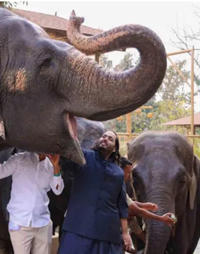 સુપ્રીમ કોર્ટે આ તમામ આરોપો ફગાવીને વનતારાને ક્લિનચિટ આપી