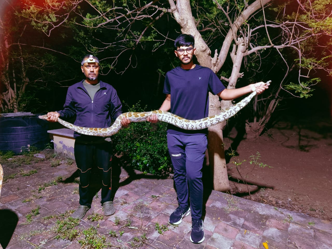 આંકોડીયા-કોયલી રોડ પરથી 7 ફૂટ લાંબા મહાકાય અજગરનું રેસ્ક્યૂ