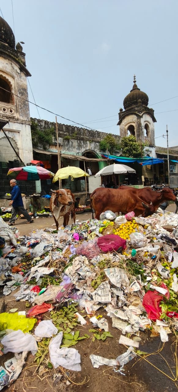 સ્વચ્છતામાં આજે પણ પાલિકા શૂન્ય!, ઠેર ઠેર કચરાનાં ઢગલા