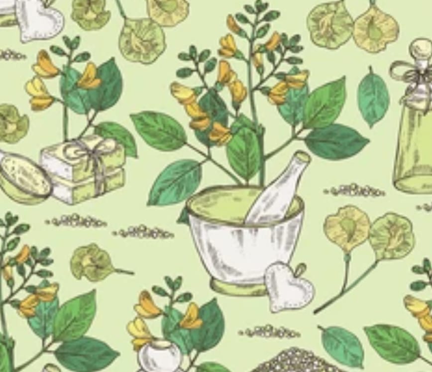 આયુર્વેદિક ઉપચાર : ચામડીના રોગના ઈલાજ