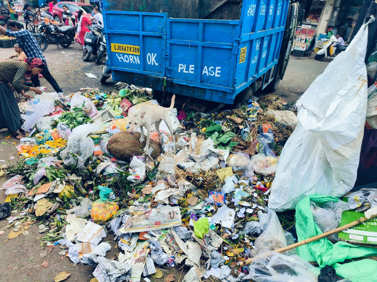 ગાંધી જયંતિએ સ્વચ્છતા ઝુંબેશ – પરંતુ પાલિકાની વડી કચેરી પાછળ જ ગંદકીની ભરમાર