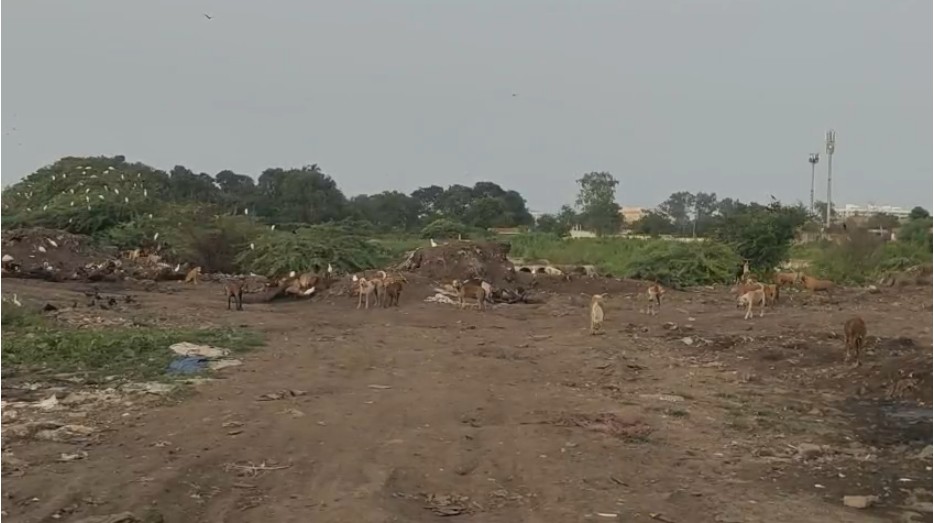 મૃત જાનવરોના નિકાલ માટેનું સ્લોટર હાઉસ છેલ્લા એક અઠવાડિયાથી બંધ હાલતમાં