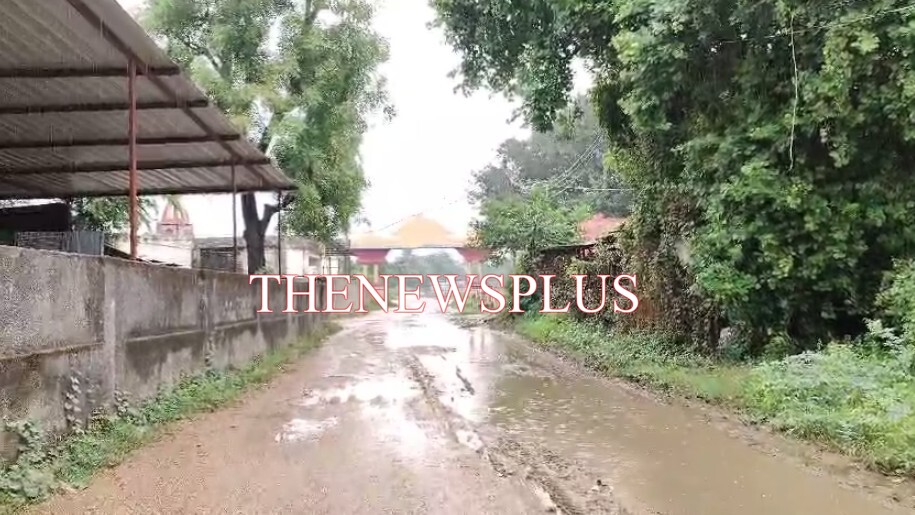 સાવલીમાં સતત બીજા દિવસે પણ અવિરત વરસાદ ચાલુ