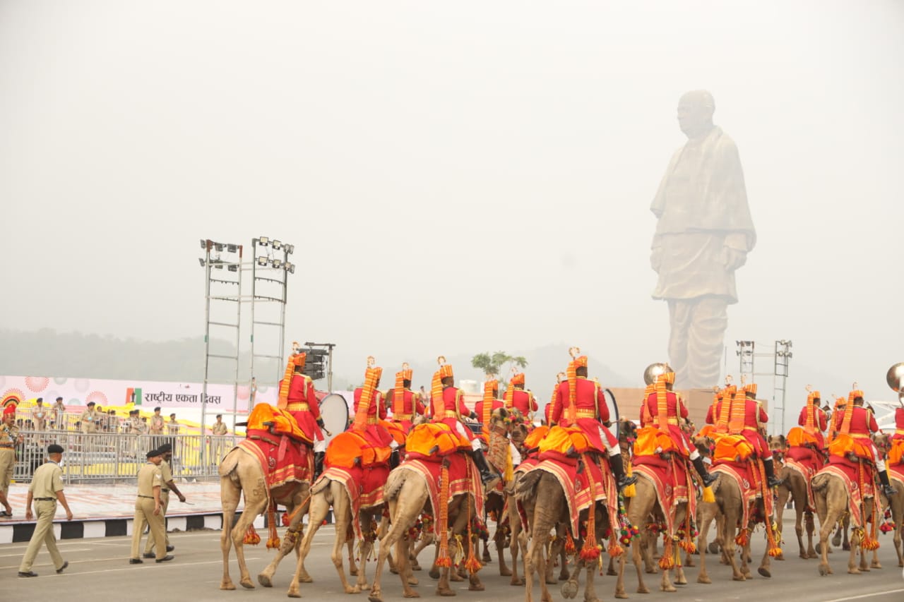 જોધપુરથી બાવન ઊંટ સાથે આવેલી બીએસએફની બે ટુકડી એકતા પરેડમાં ભાગ લેશે
