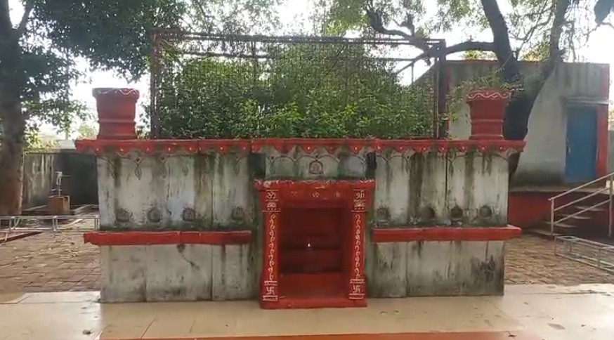 ભગવાન નરસિંહજીનો ૨૮૮માં વરઘોડા નિમિત્તે તુલસી વાડી મંદિર ખાતે તૈયારીઓ શરૂ