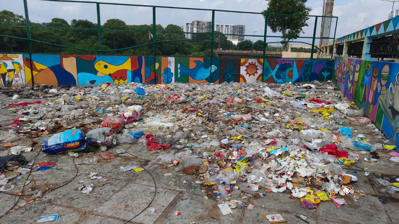 સ્વચ્છતાની વાતો વચ્ચે શહેરના કારેલીબાગ રાત્રી બજારમાં ગંદકીનું સામ્રાજય