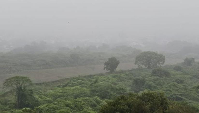 હાઈવે NE1 પર ભારે ધુમ્મસના કારણે વાહન ચાલકોને વાહન  ઓછી ગતિએથી ચલાવવા અપીલ 