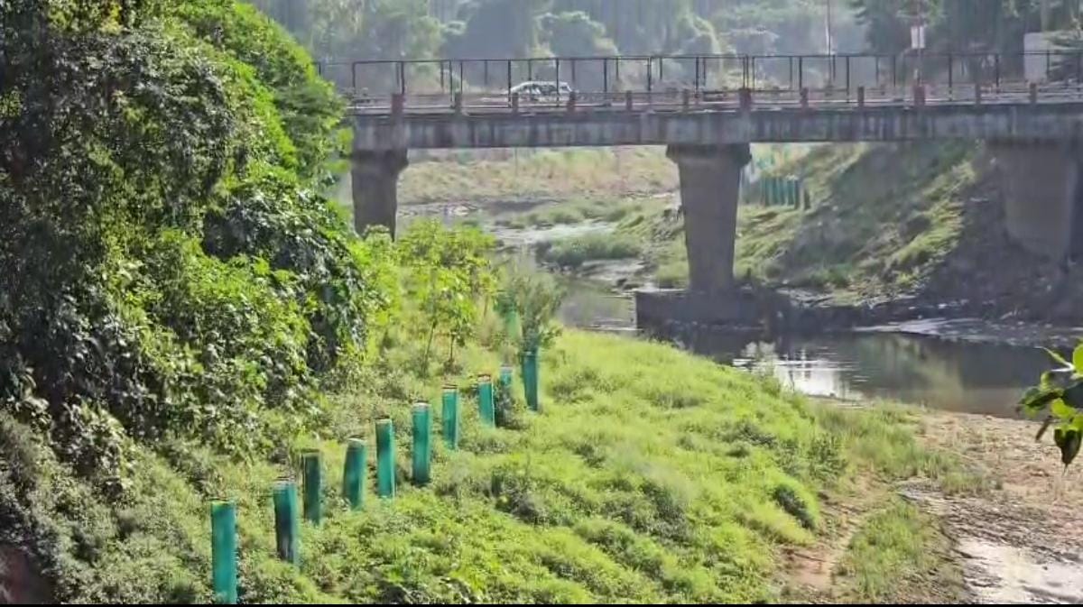 વિશ્વામિત્રી પ્રોજેક્ટ - ગેબિયન વોલનાં નામે 72 કરોડનો વહીવટ થઈ જશે